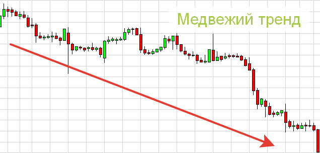 medvezhiy-trend