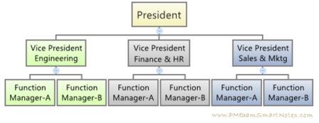 Functional organization