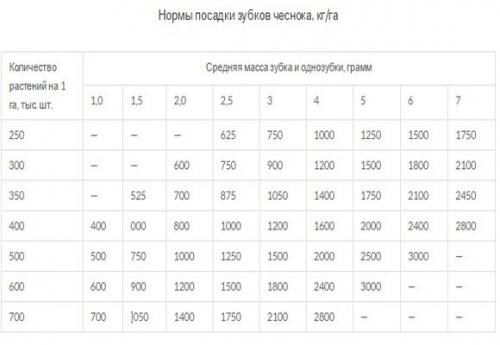 Средняя урожайность чеснока с 1 га. Виды чеснока и урожайность